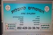 המומחים להובלות